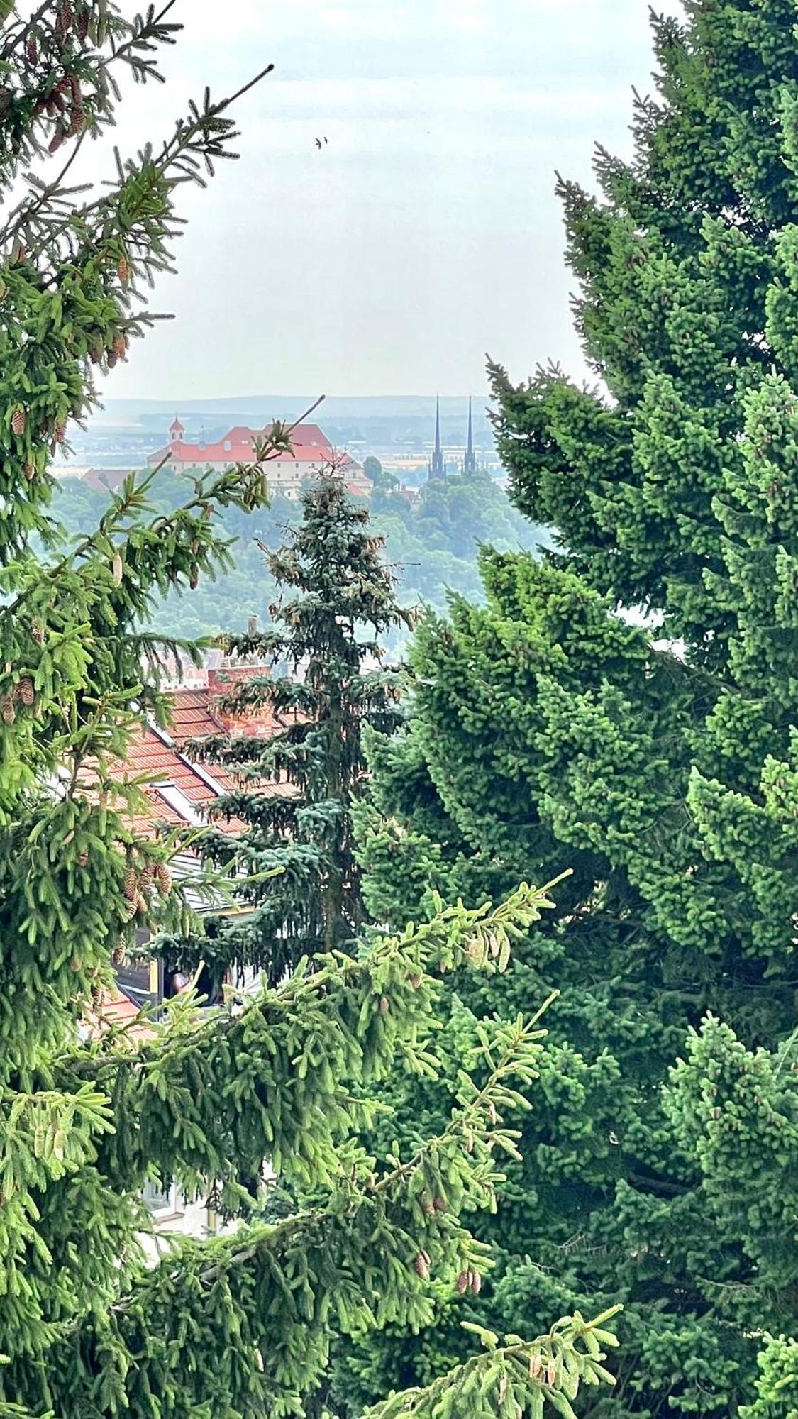 Apartman Se Saunou A Terasou S Vyhledem Na Brünn Exterior foto